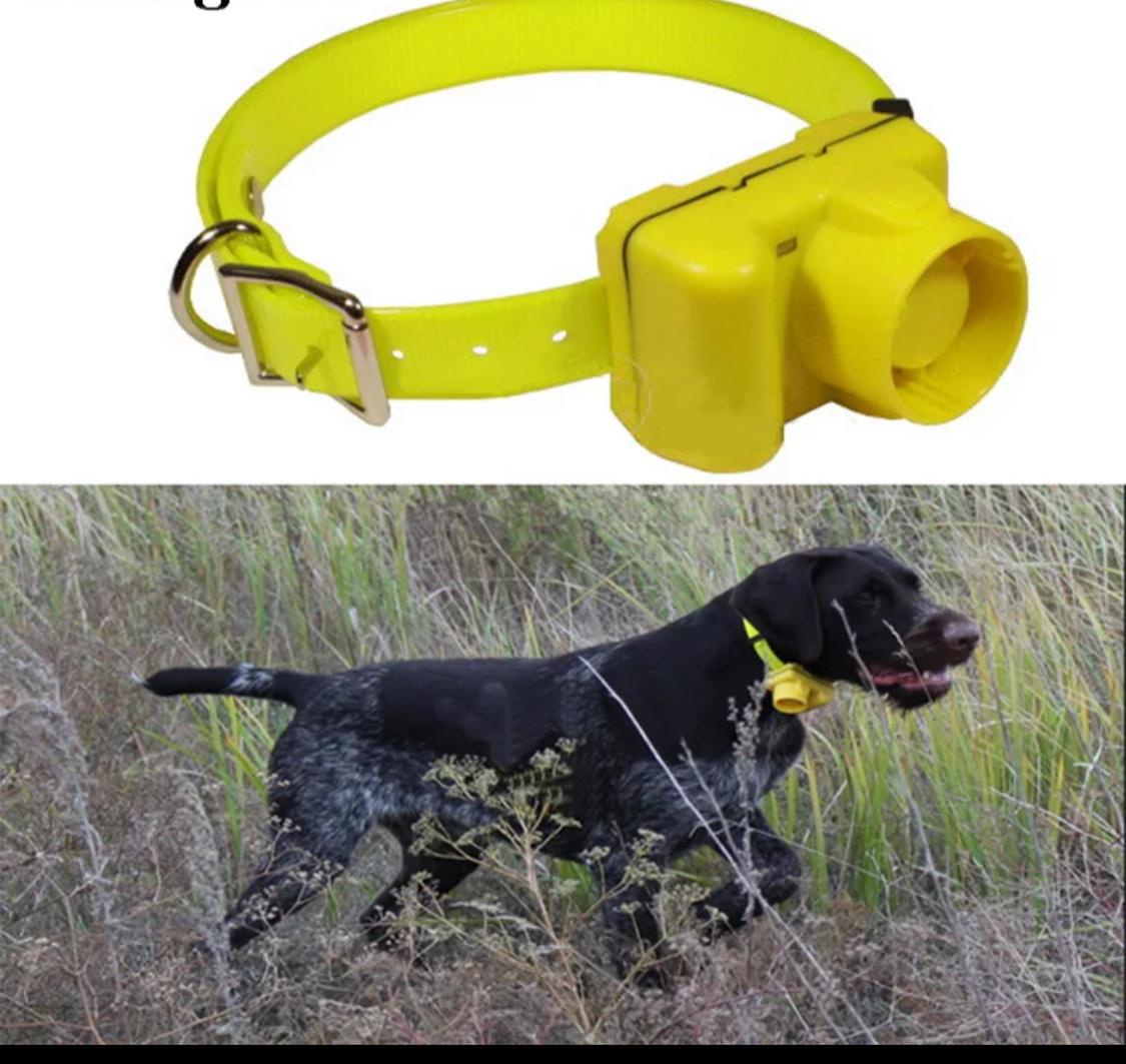 BEEPER COLLAR-AEDC003