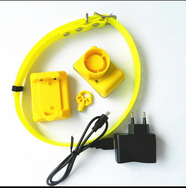 BEEPER COLLAR-AEDC003