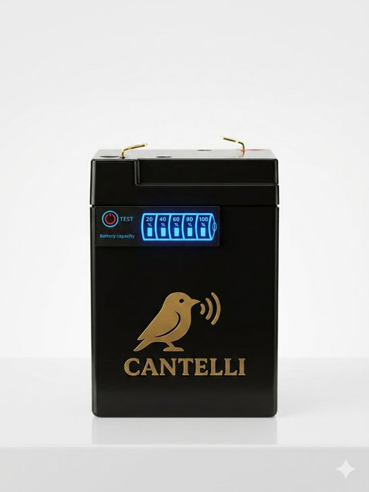 Battery 12V 6000mAh Lithium – Reliable Portable Power