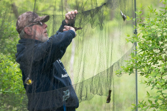 Bird net