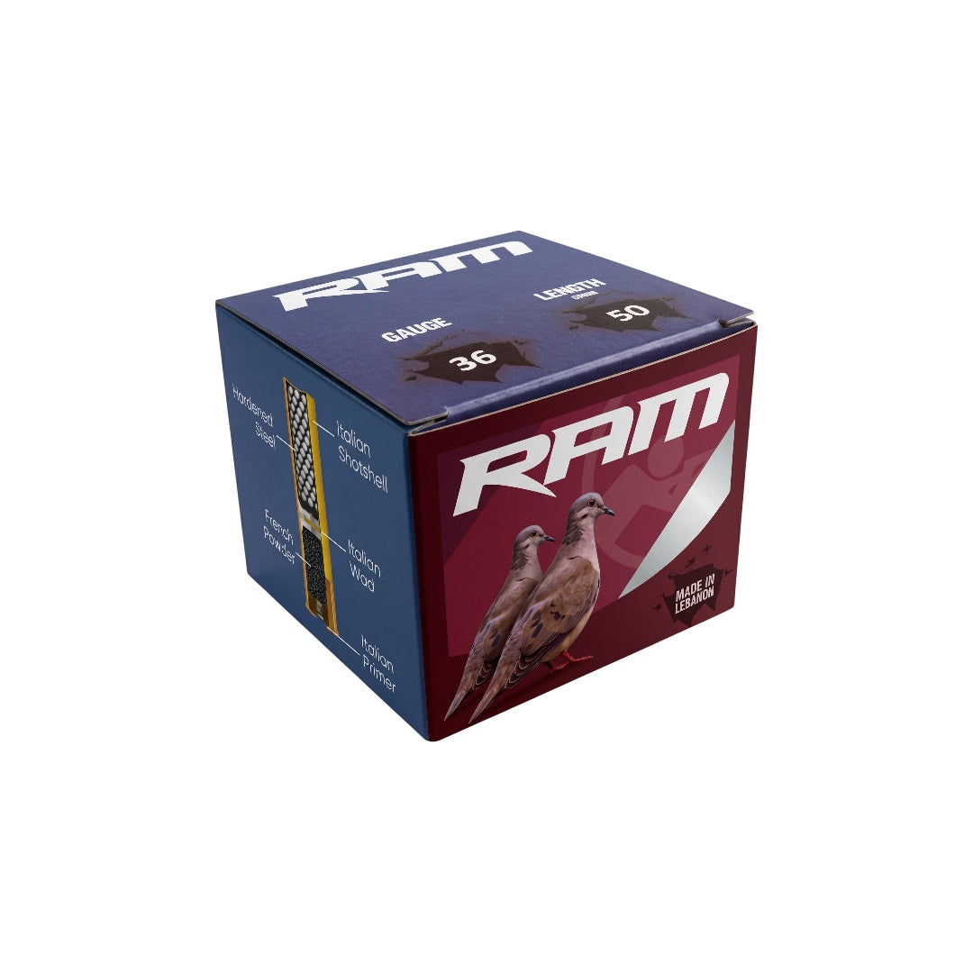 RAM 410 GA - 9G