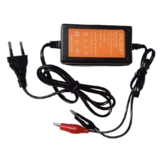Anlixun charger 12v - AEBC003