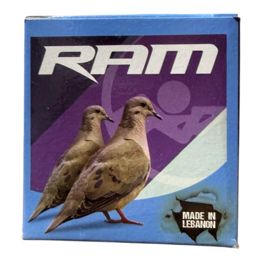 RAM DOYBLE 410 GA - 11G