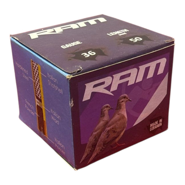RAM 410 GA - 9G